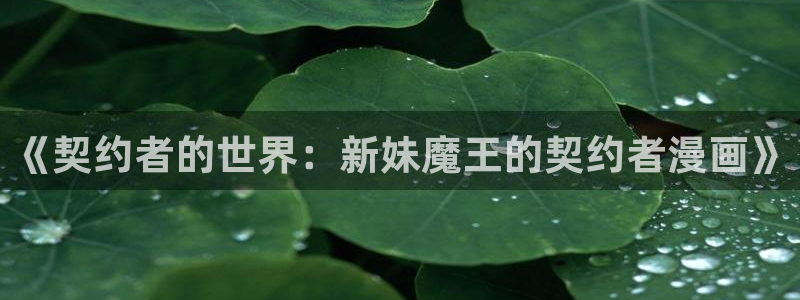漫漫漫画.：《契约者的世界：新妹魔王的契约者漫画》