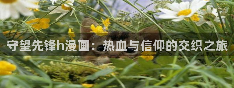 榴花不及春漫漫漫画：守望先锋h漫画：热血与信仰的交织之旅